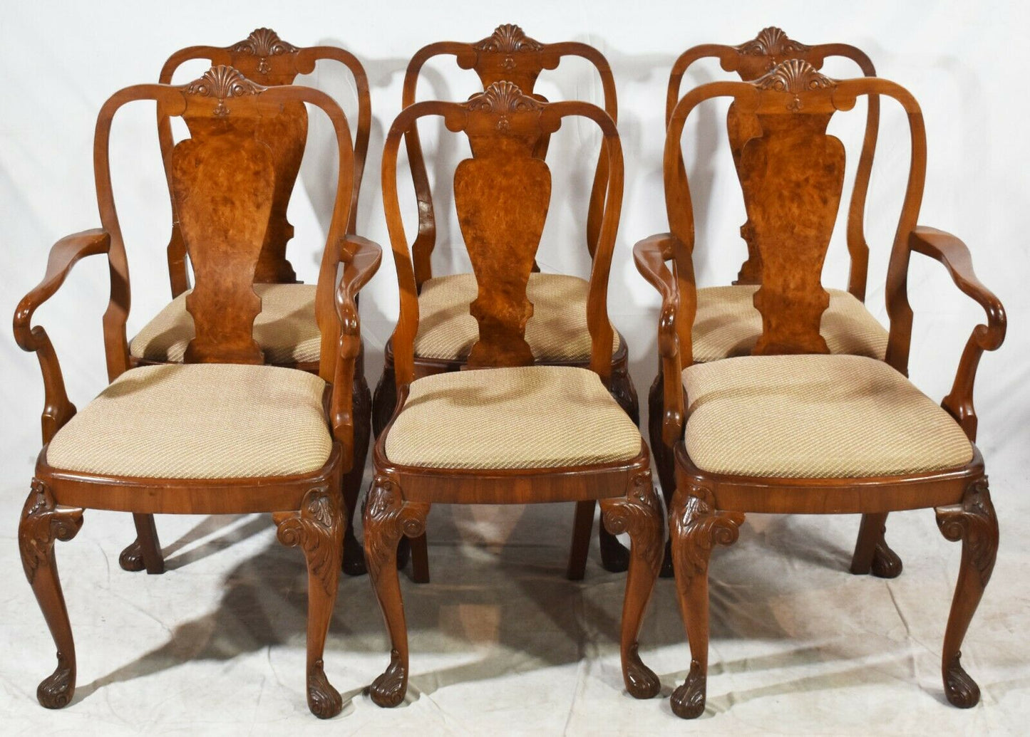 Set of 6 Queen Anne Burl Walnut Dining Chairs Claw and Ball feet Carved Shell