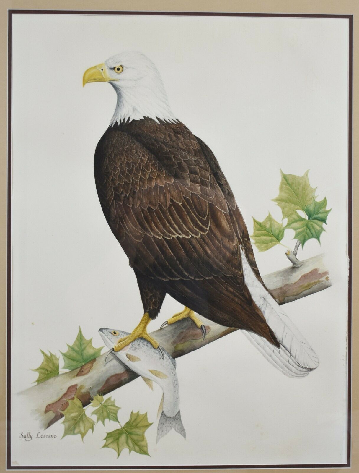 American Bald Eagle, Original Watercolor by Sally Lesesne S Carolina Artist