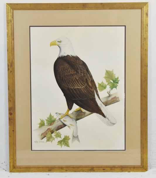 American Bald Eagle, Original Watercolor by Sally Lesesne S Carolina Artist